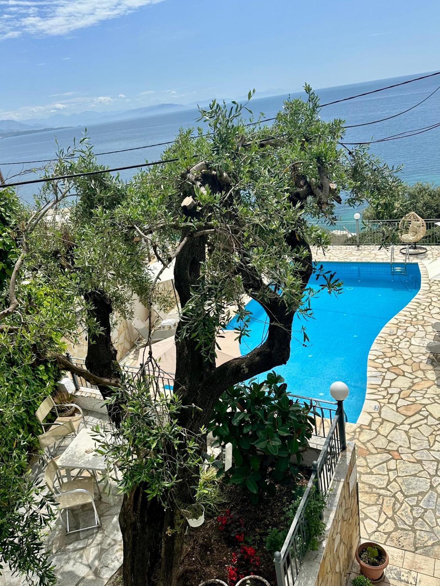 Vladimiros